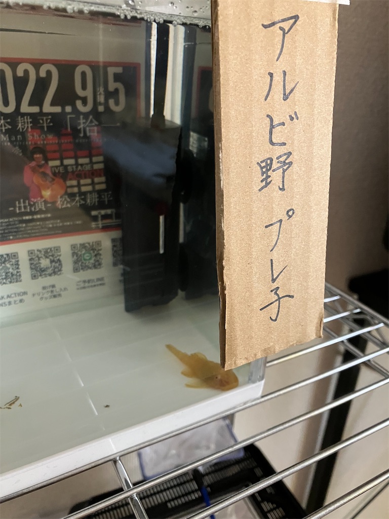 f:id:abekeso:20221021103258j:image