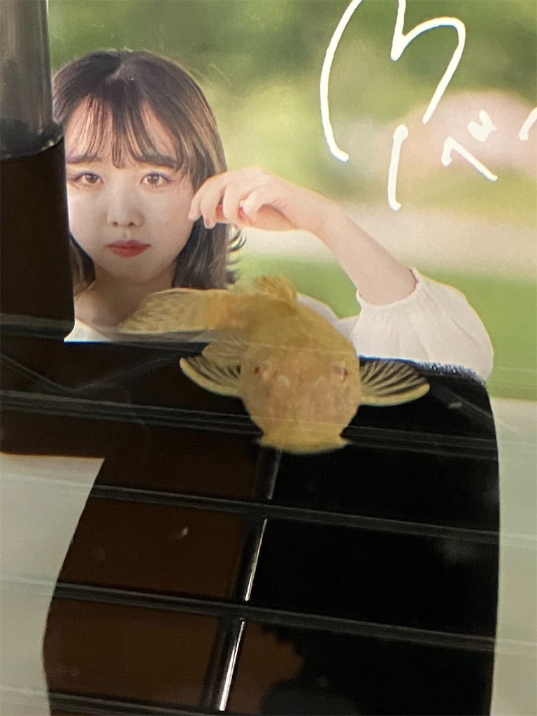 f:id:abekeso:20221021103351j:image