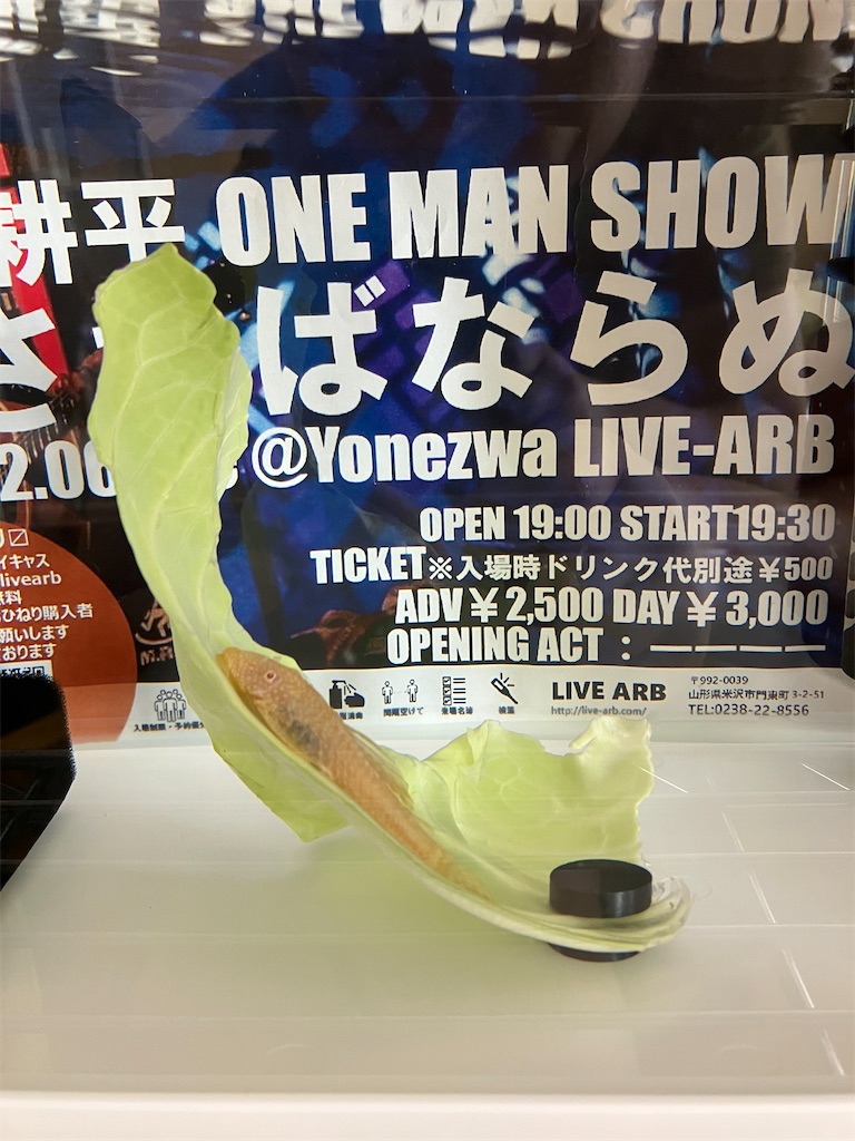 f:id:abekeso:20221121195111j:image