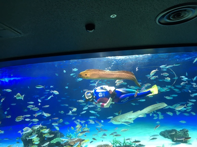 f:id:abemarico:20181002142546p:plain f:id:abemarico:20181002142546p:plain