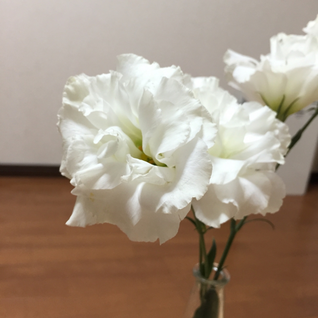 f:id:abesanlife:20160901230003j:plain