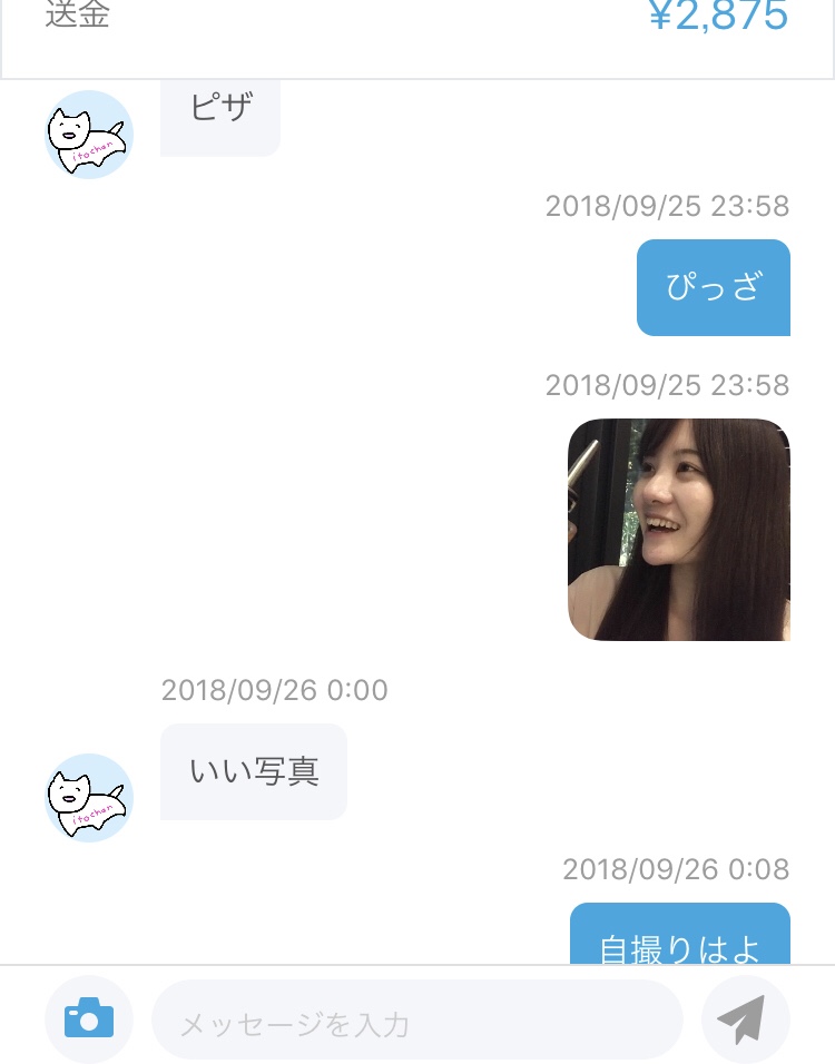f:id:abeshiiiii:20181231010658j:plain