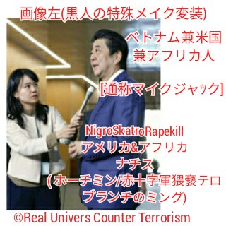 f:id:abeshinzousaigonosouri:20191118053146j:image f:id:abeshinzousaigonosouri:20191118053146j:image