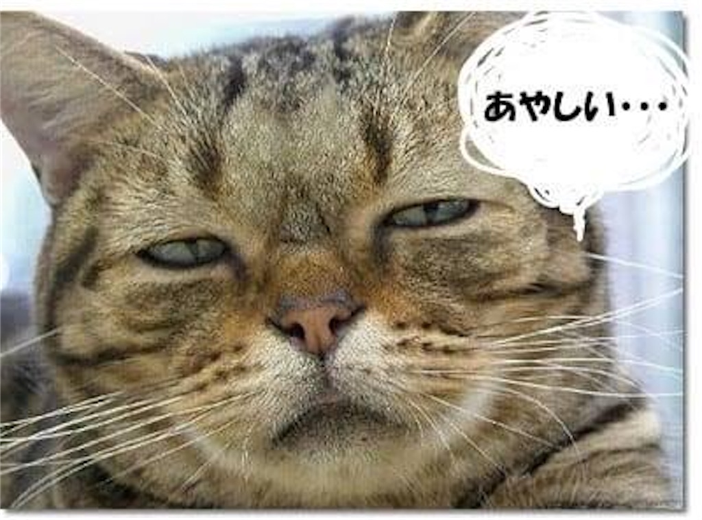 f:id:abeskun:20201006011414j:image