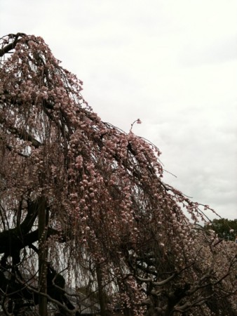f:id:abeyoshi1969:20100316104428j:image f:id:abeyoshi1969:20100316104428j:image