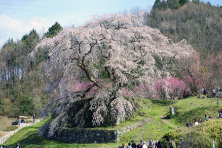 f:id:abeyoshi1969:20100404143904j:image