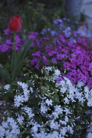 f:id:abeyoshi1969:20100406183301j:image:left f:id:abeyoshi1969:20100406183301j:image:left