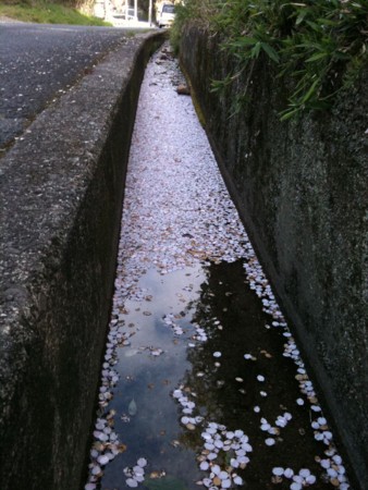 f:id:abeyoshi1969:20100410094250j:image f:id:abeyoshi1969:20100410094250j:image