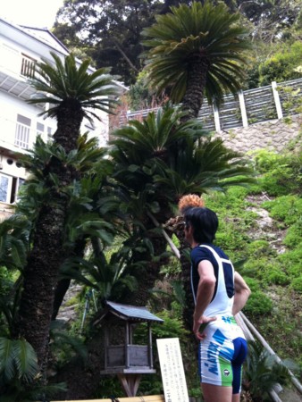 f:id:abeyoshi1969:20100503163909j:image f:id:abeyoshi1969:20100503163909j:image