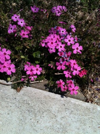 f:id:abeyoshi1969:20110329112248j:image