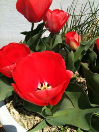 f:id:abeyoshi1969:20110329112303j:image