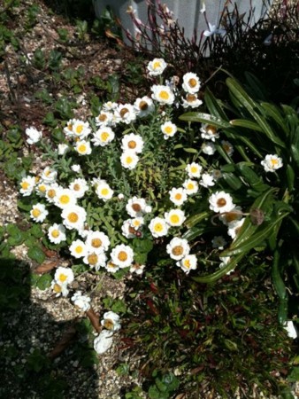 f:id:abeyoshi1969:20110329112319j:image