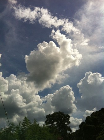 f:id:abeyoshi1969:20110826134951j:image:w360