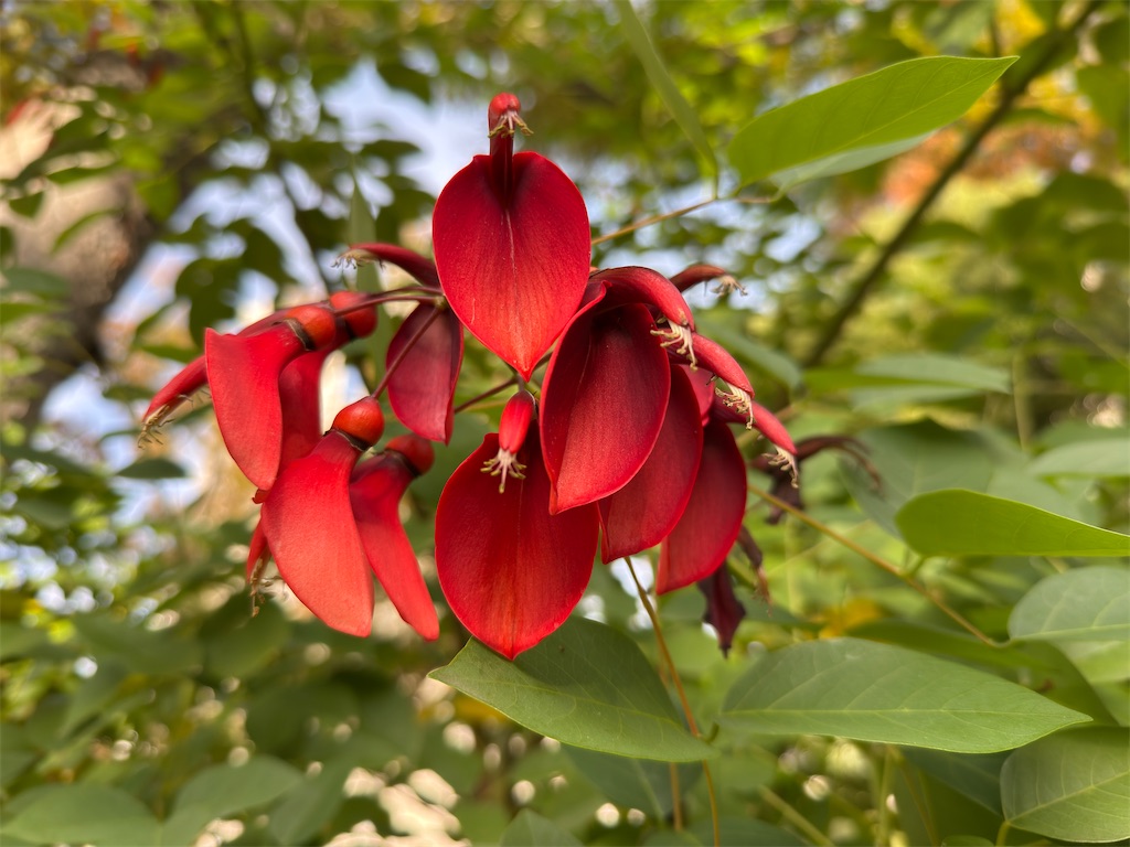 f:id:abiabiko:20251112223226j:image f:id:abiabiko:20251112223226j:image