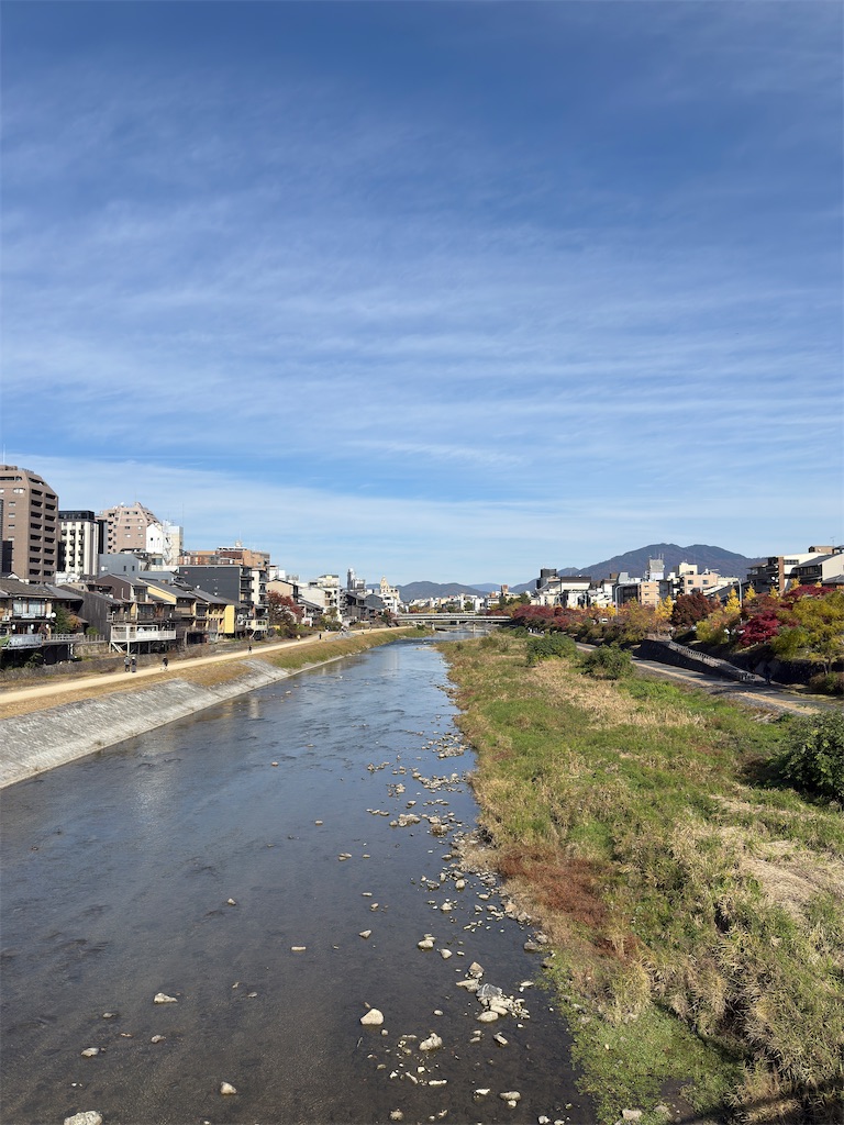 f:id:abiabiko:20251124231036j:image f:id:abiabiko:20251124231036j:image