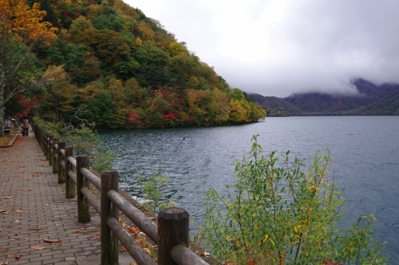f:id:abigreen:20171023121051j:plain f:id:abigreen:20171023121051j:plain