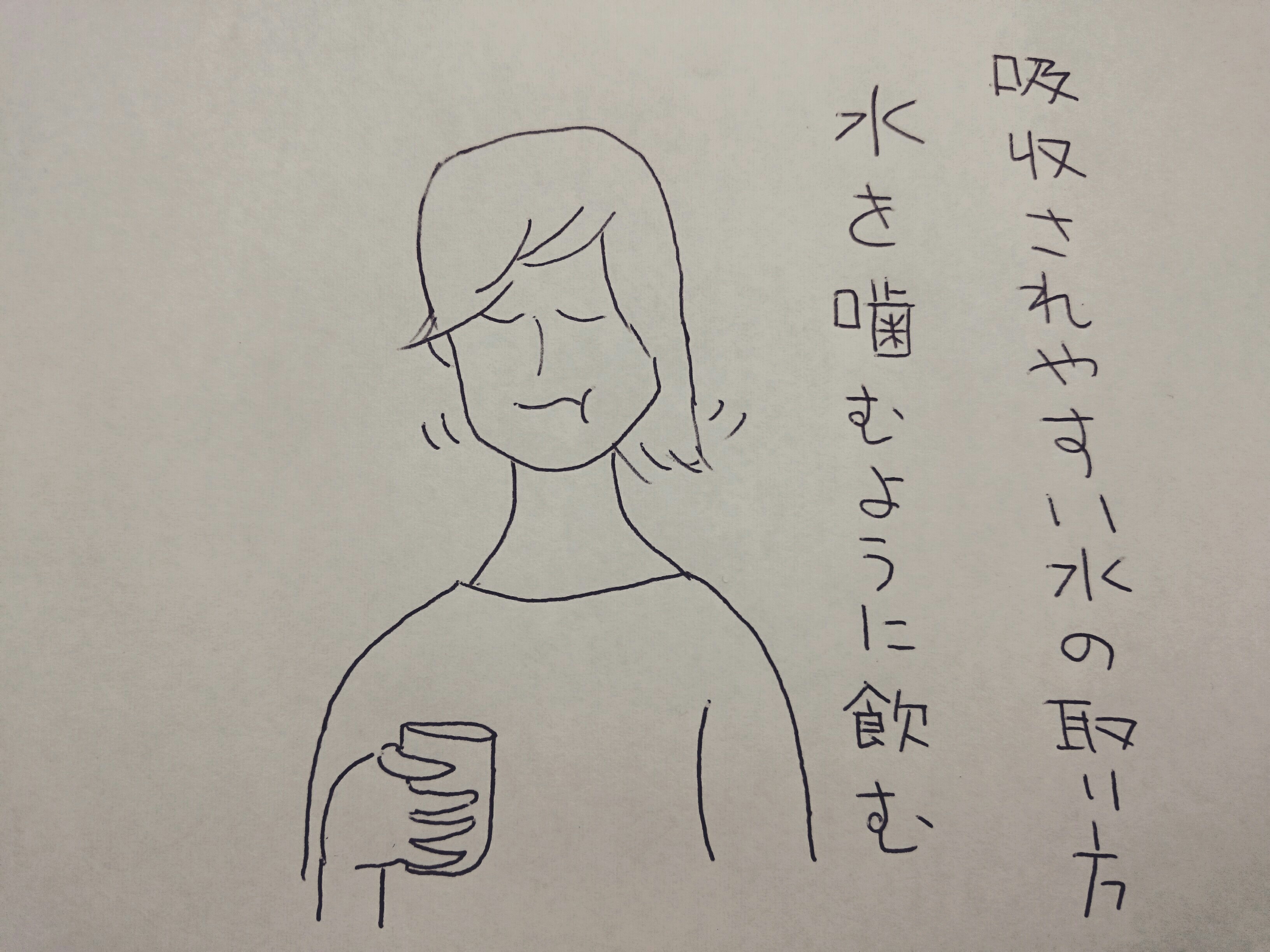 f:id:abikodojo:20181230165527j:plain