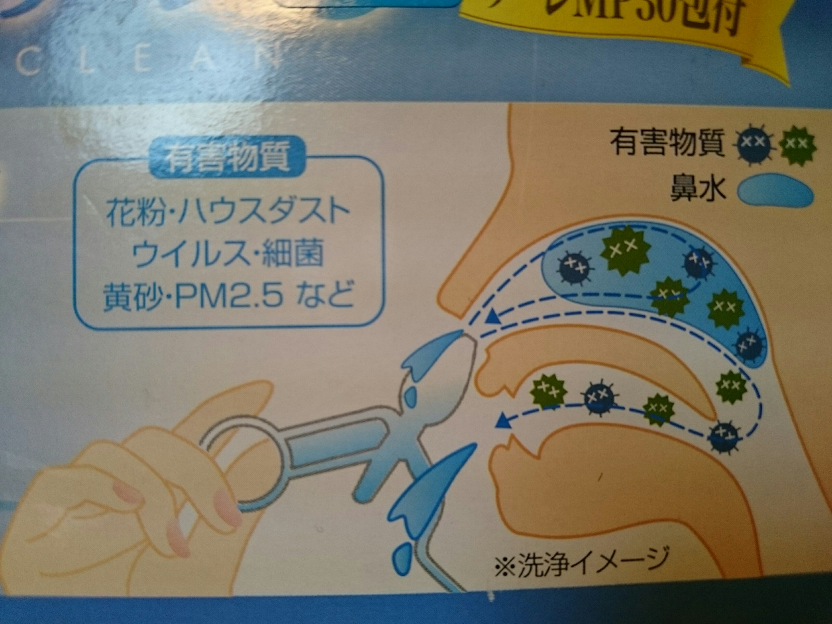 f:id:abikodojo:20190317231333j:plain