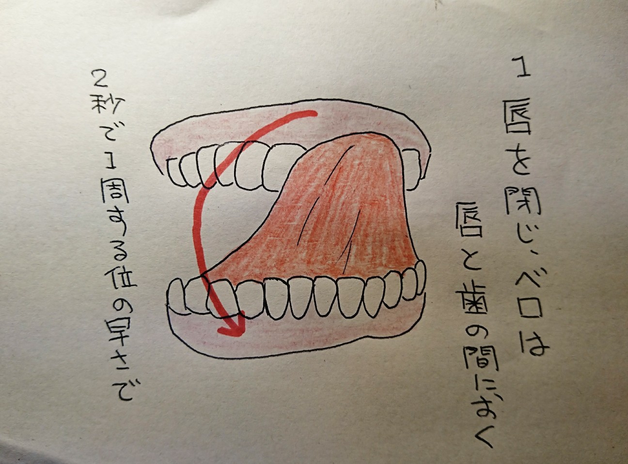 f:id:abikodojo:20200304183719j:image