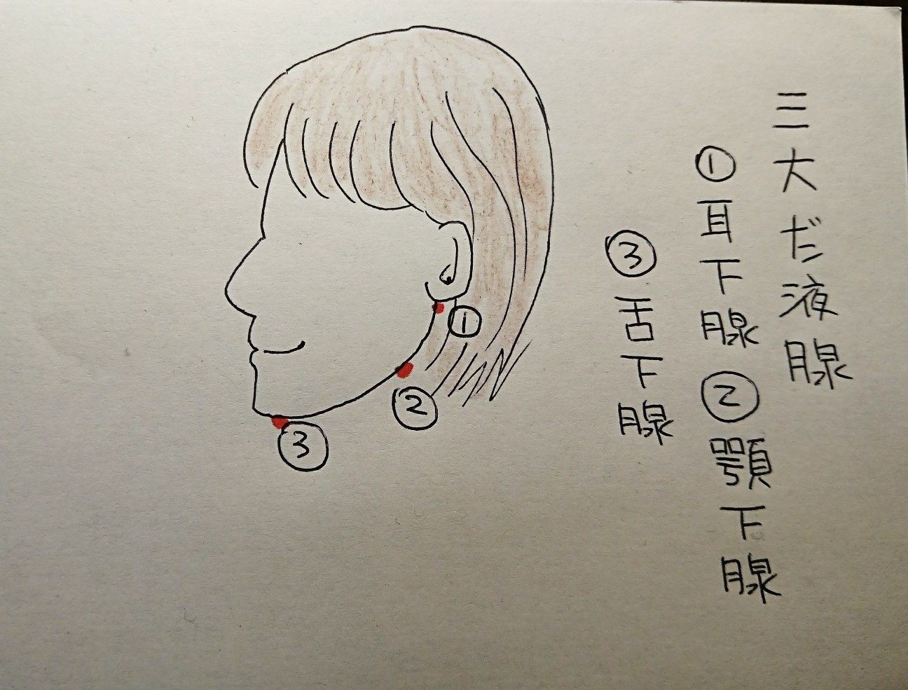 f:id:abikodojo:20200304184409j:image