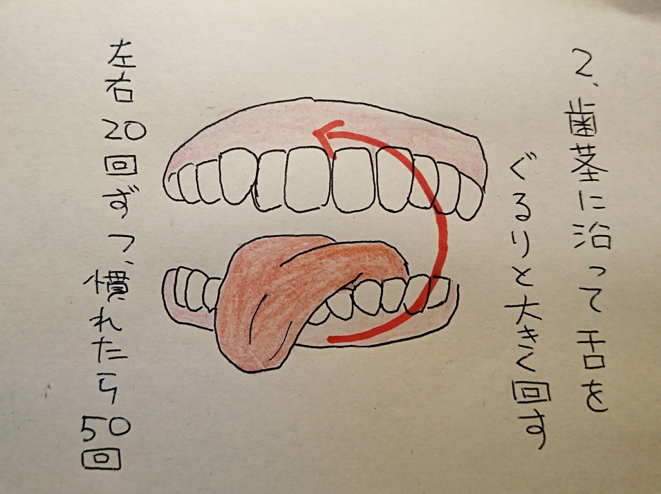 f:id:abikodojo:20200304202520j:image