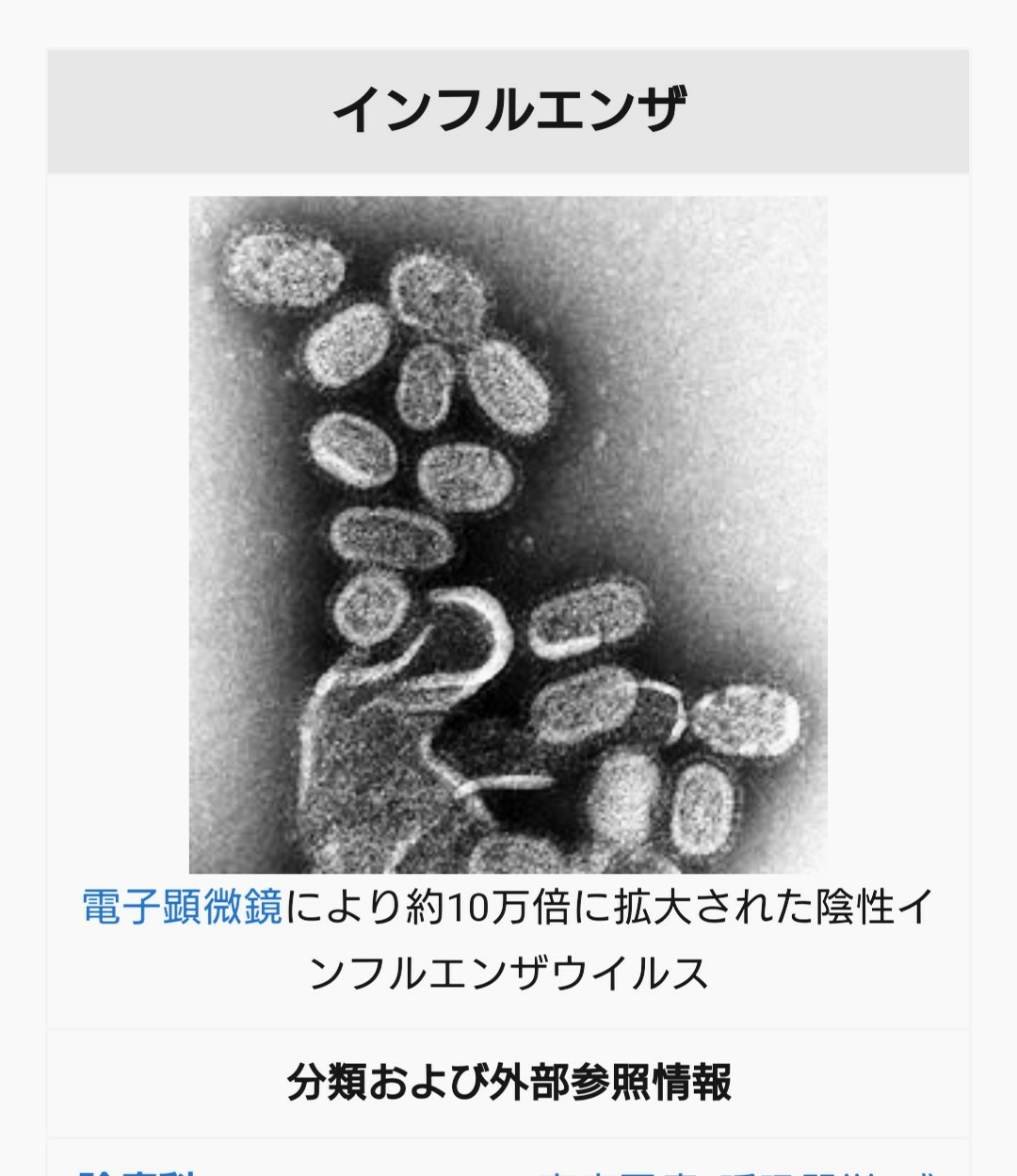 f:id:abikodojo:20210102235318j:image