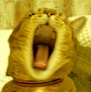 f:id:abiphoneab:20070505220235j:image