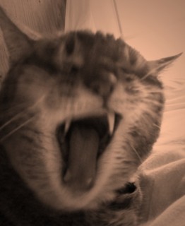 f:id:abiphoneab:20101027144117j:image