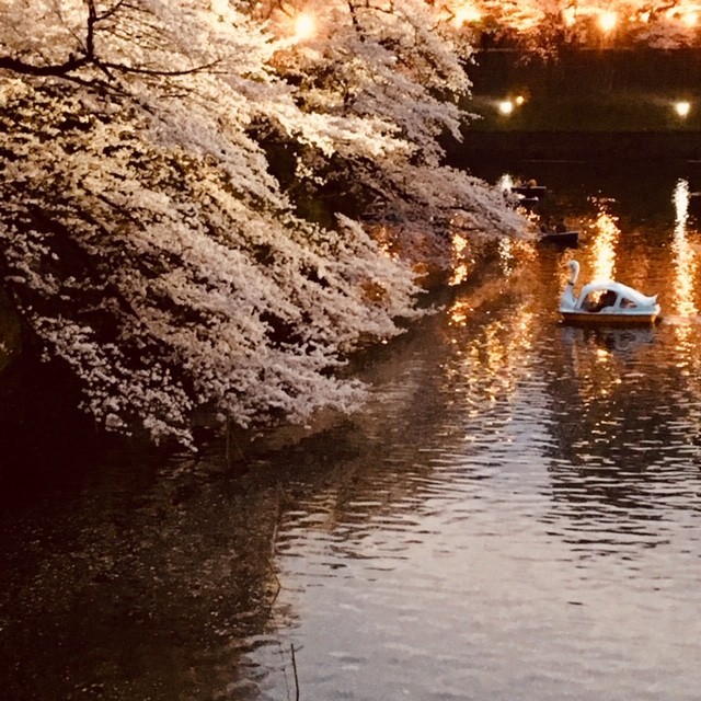 f:id:abiquiu:20190401181553j:plain