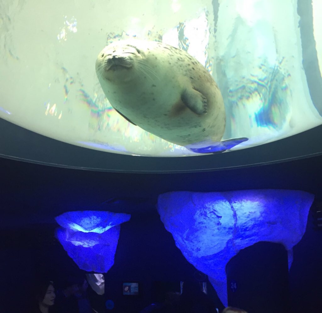 f:id:abitarou:20180219075324j:image