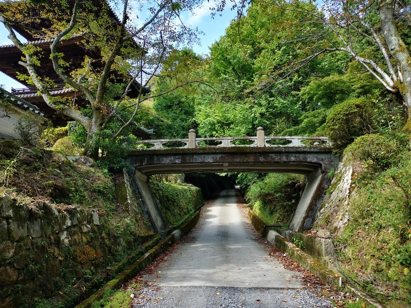 叫び
