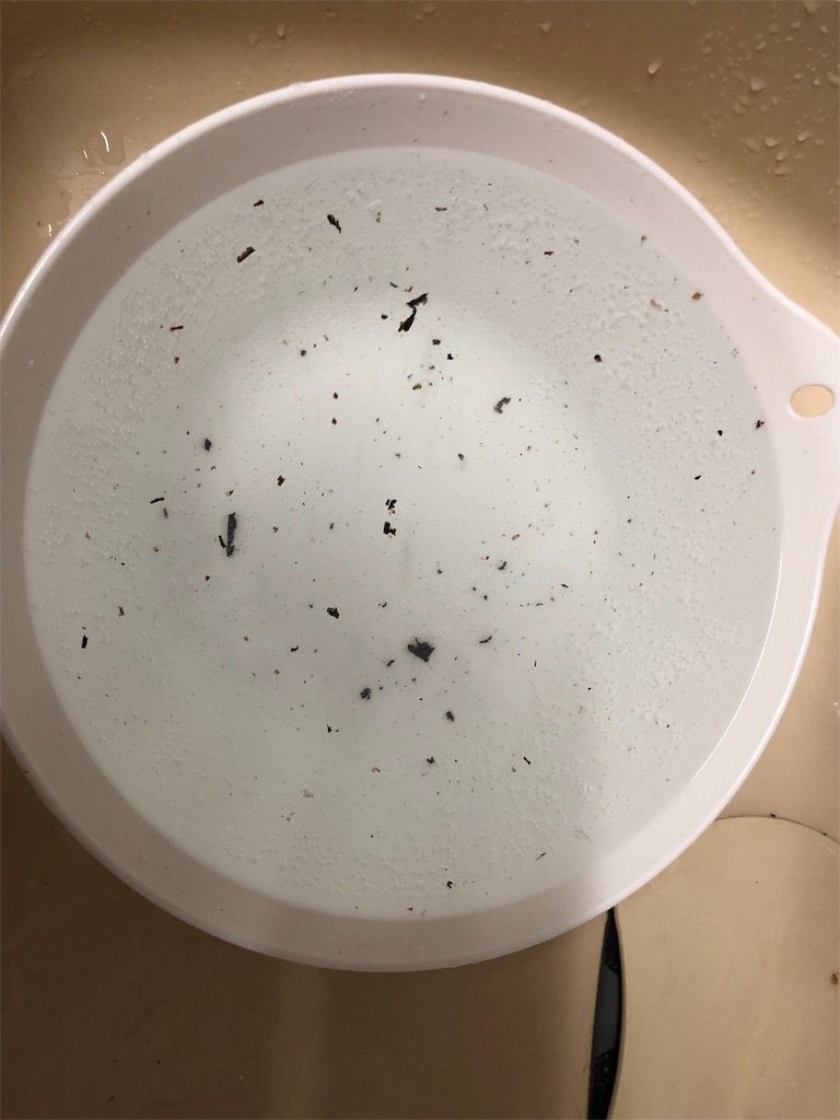 f:id:abneii:20190319172446j:image