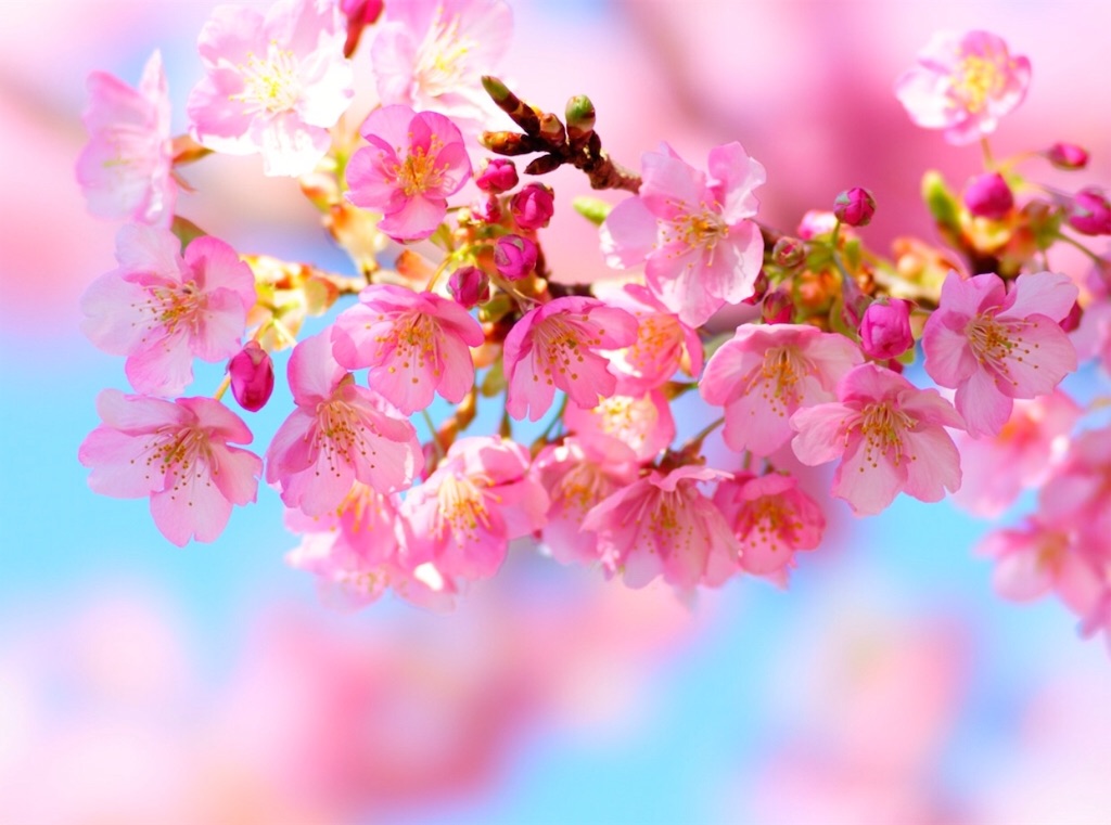 先生に好かれる親 嫌われる親 保育士目線 みきみきblog