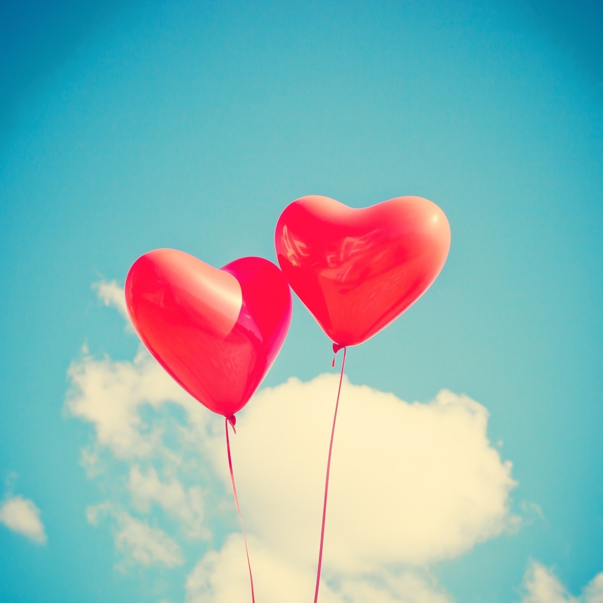 f:id:abneii:20200207162603j:plain f:id:abneii:20200207162603j:plain