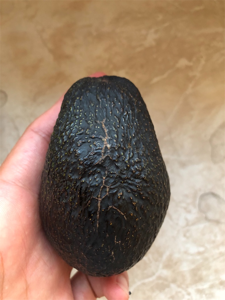 f:id:aboabotaro:20180927020838j:image