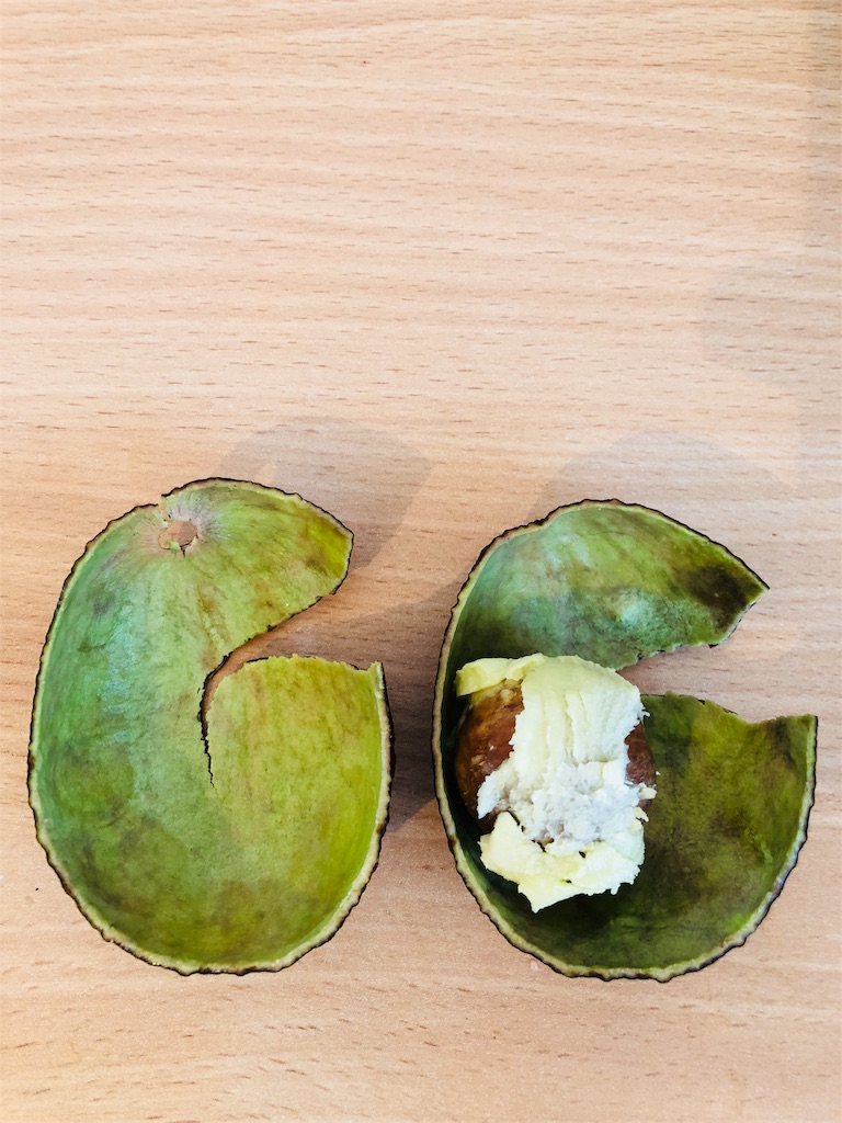 f:id:aboabotaro:20180929045115j:image