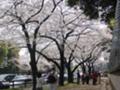 20070401122917