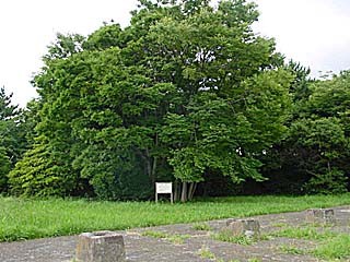 f:id:abogard:20090416224017j:image