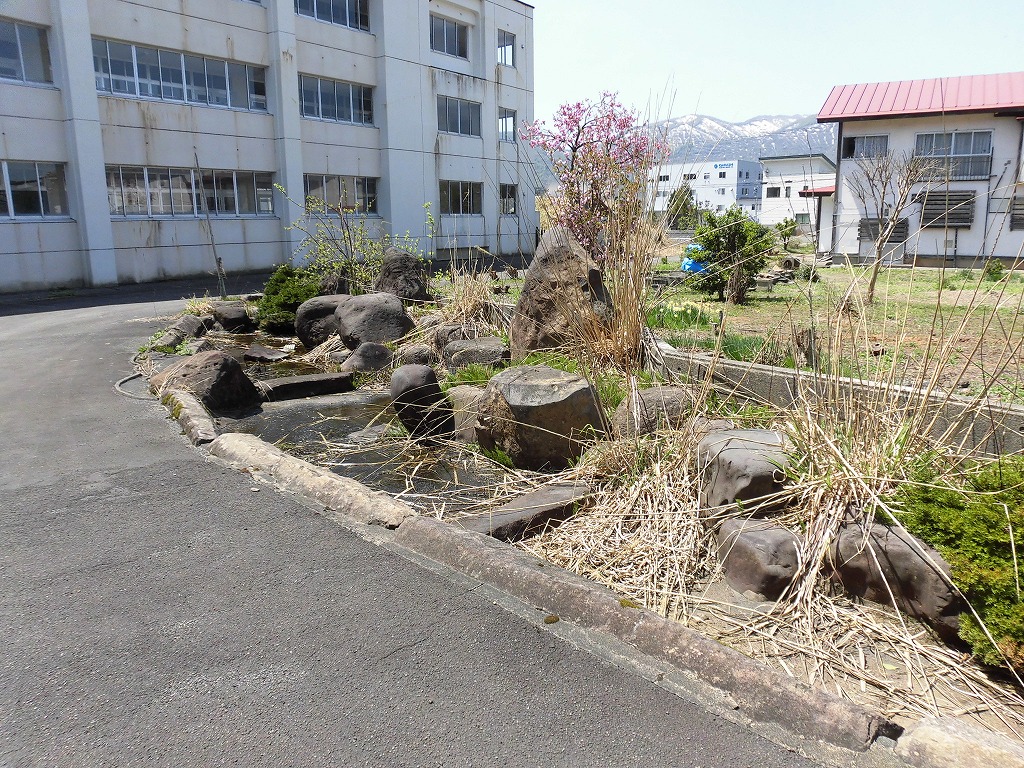 f:id:abolished-school:20190625231632j:plain