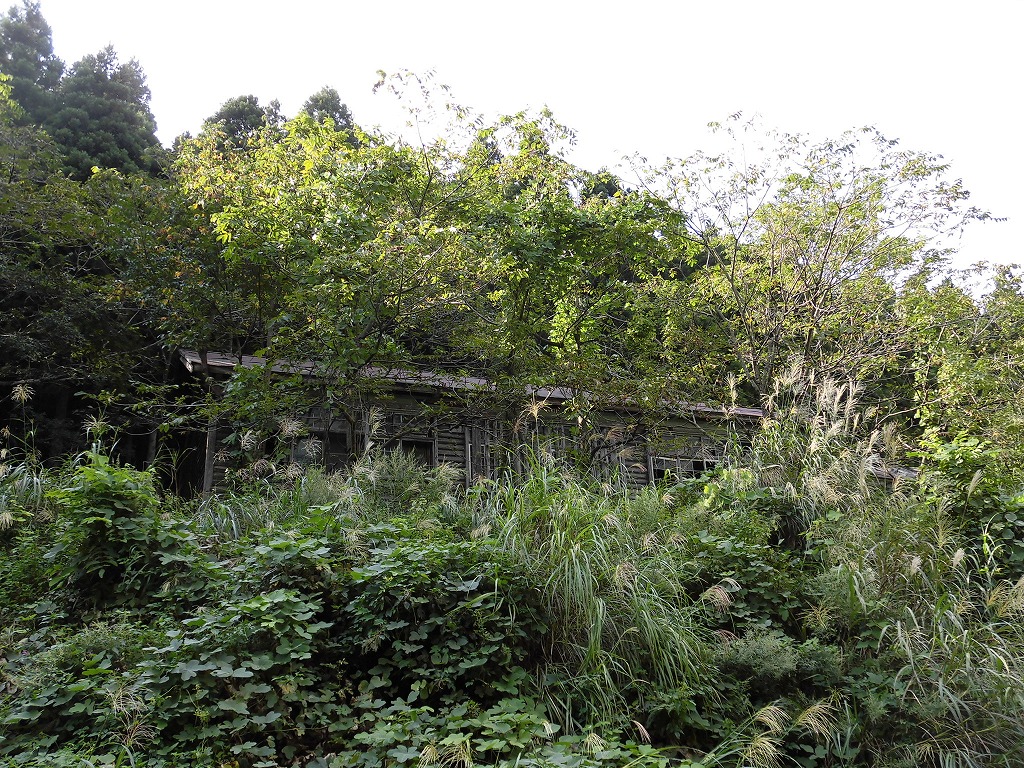 f:id:abolished-school:20201130222338j:plain