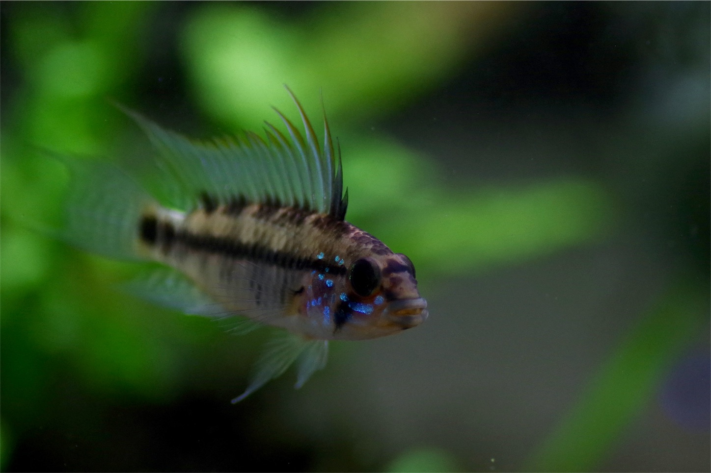 f:id:abot108:20180306192452j:image f:id:abot108:20180306192452j:image