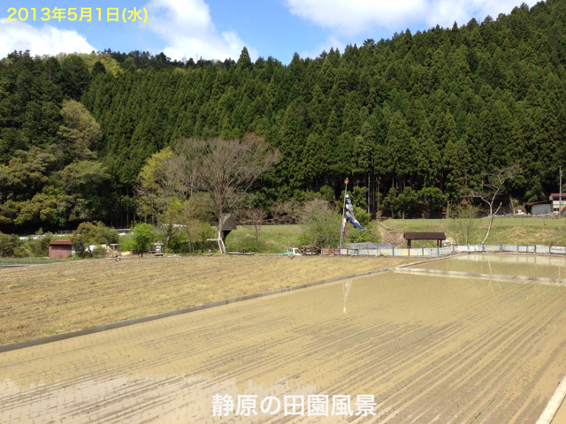 f:id:abotamaki2012:20130512213831j:image:w320