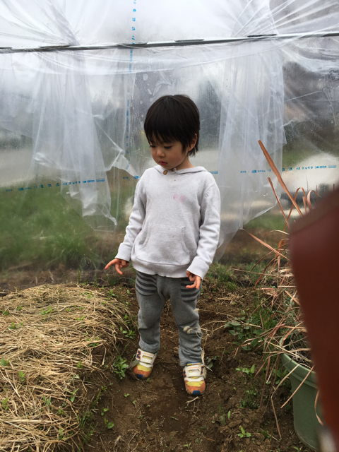 f:id:abotamaki2012:20160321133942j:image:h320