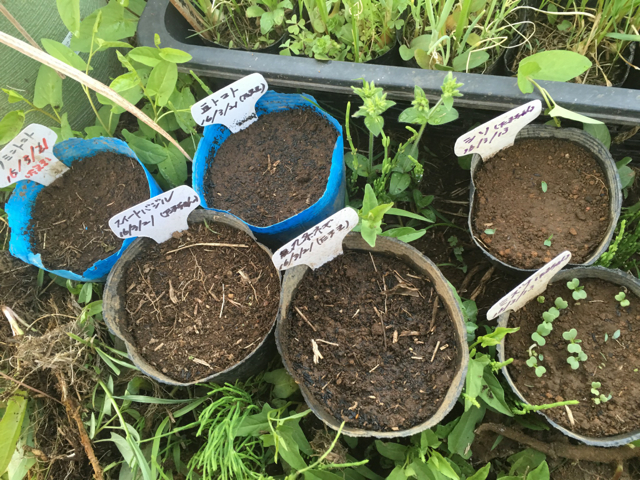 f:id:abotamaki2012:20160403220412j:image:w320