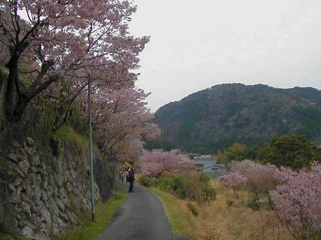 横輪の里