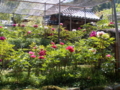 20130509114745