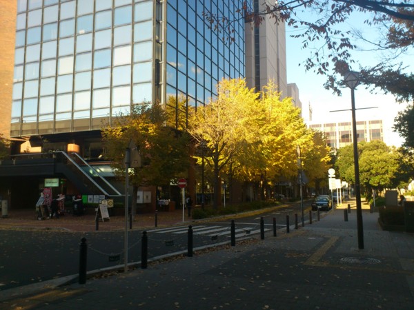 f:id:absj31:20121201143538j:image:w770 f:id:absj31:20121201143538j:image:w770
