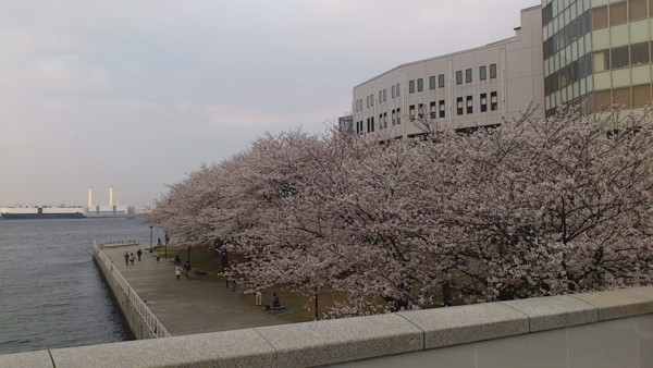 f:id:absj31:20130323163907j:image:w800
