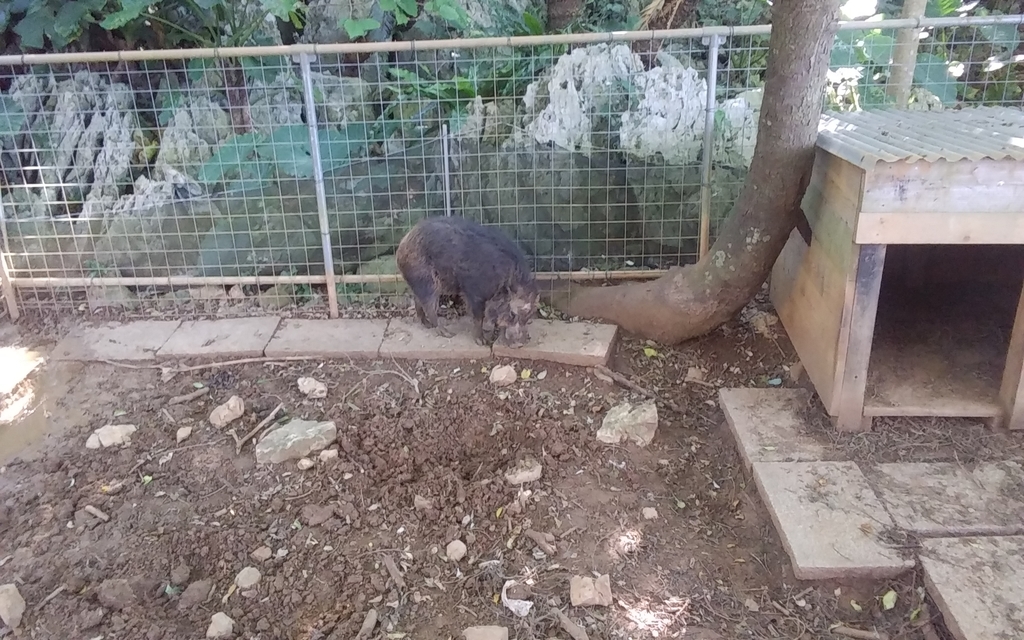 f:id:absoluterider:20190210153918j:plain
