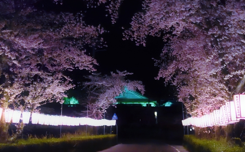 20190409231826
